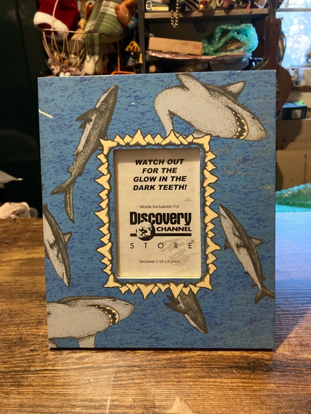Discovery Channel Store shark picture frame